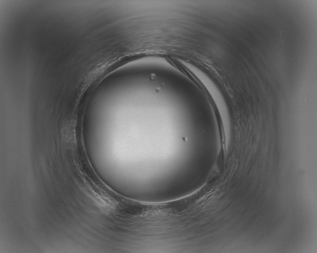 X0000058770299200510031053