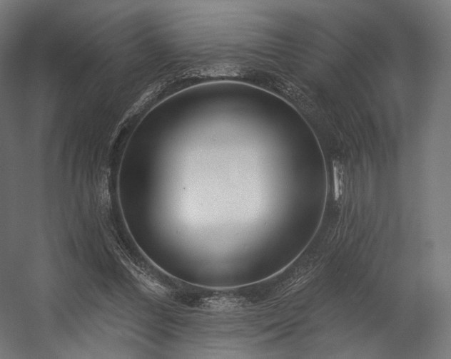 X0000058770300200510031053