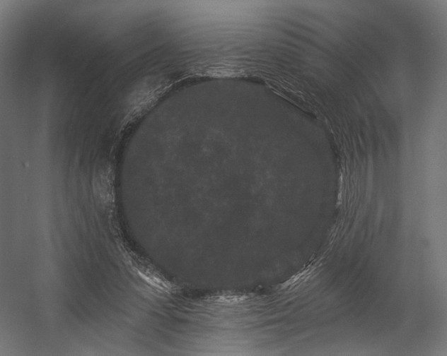 X0000058770303200510031053