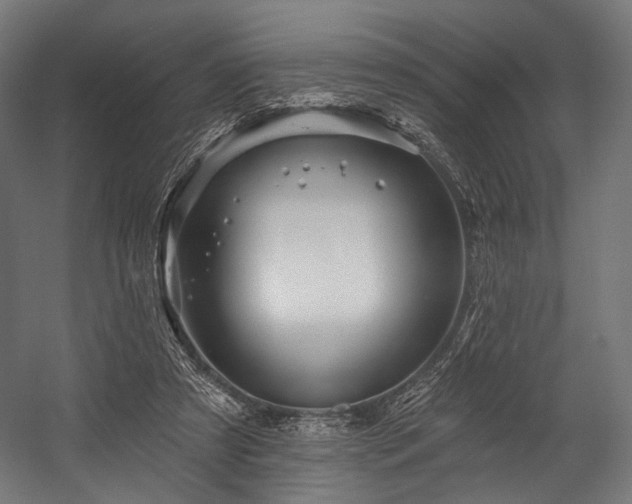 X0000058770305200510031053