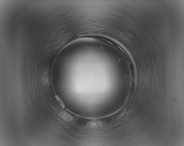 X0000058770317200510031052