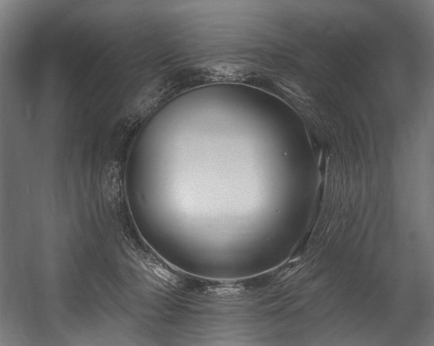 X0000058770318200510031052