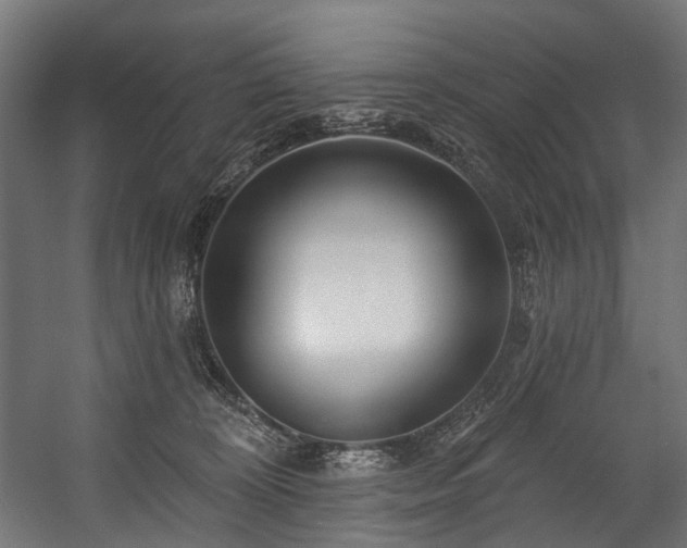 X0000058770324200510031052