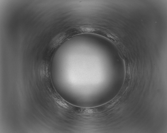X0000058770330200510031052