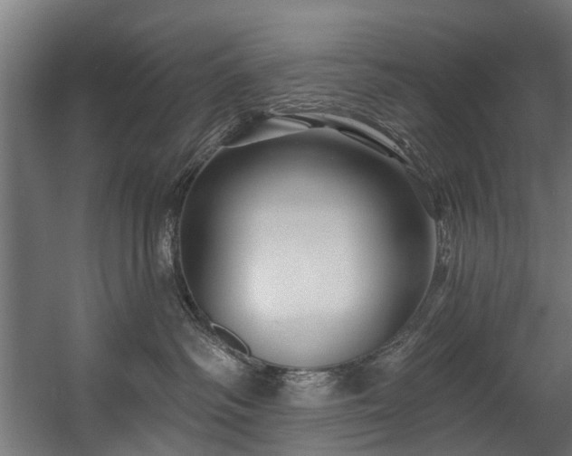 X0000058770334200510031052