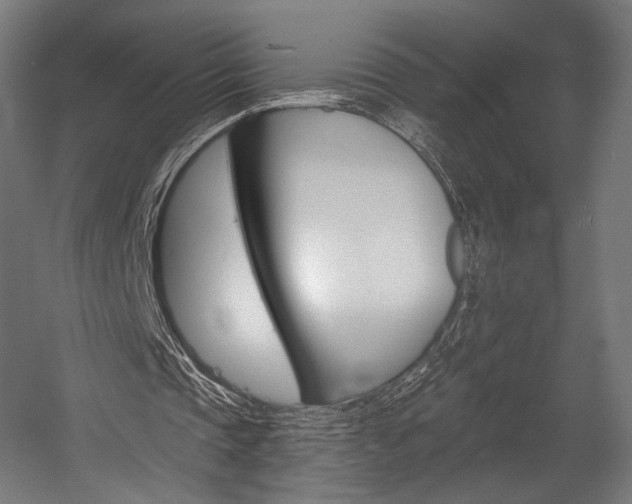 X0000058770337200510031051