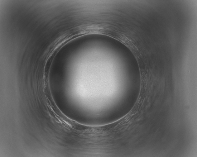 X0000058770338200510031051