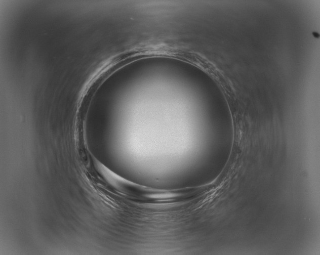 X0000058770344200510031051