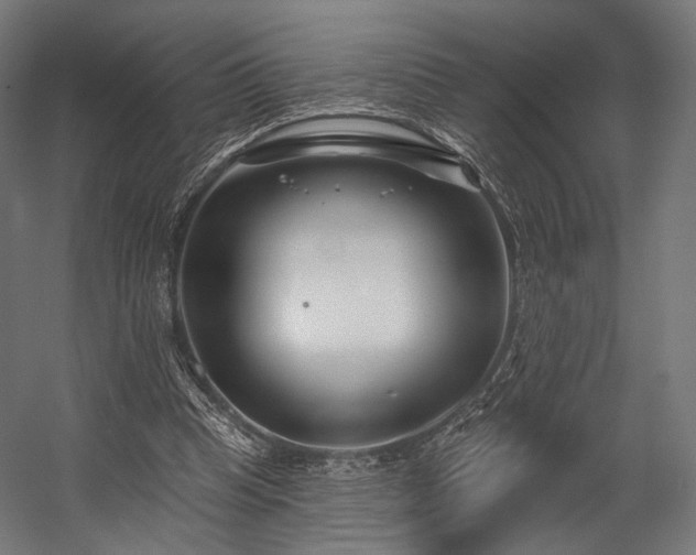 X0000058770345200510031051