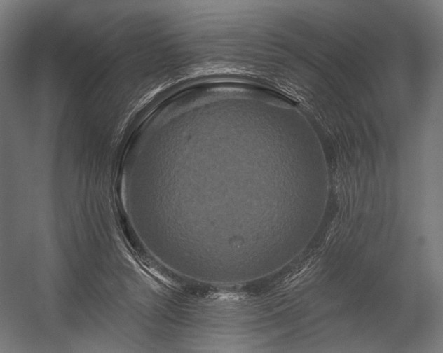 X0000058770352200510031052