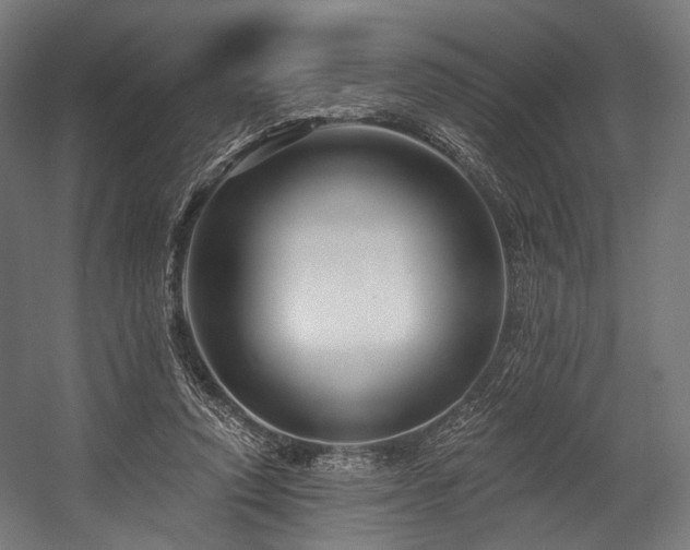 X0000058770354200510031052