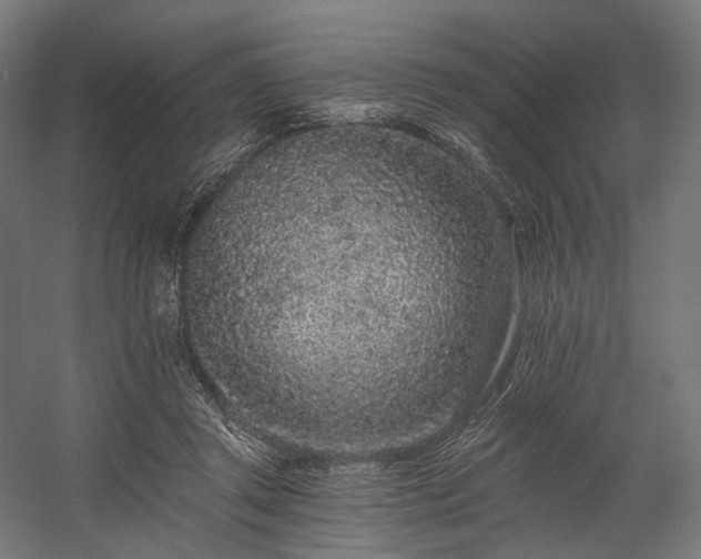 X0000058770357200510031052