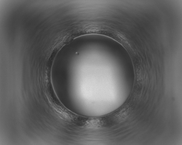 X0000058770362200510031052