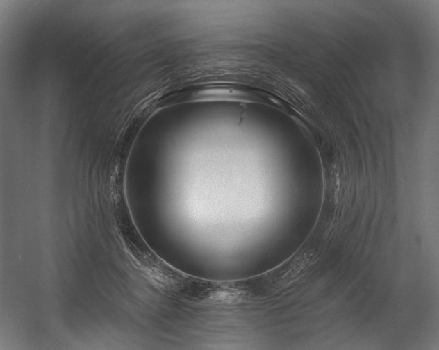 X0000058770364200510031052