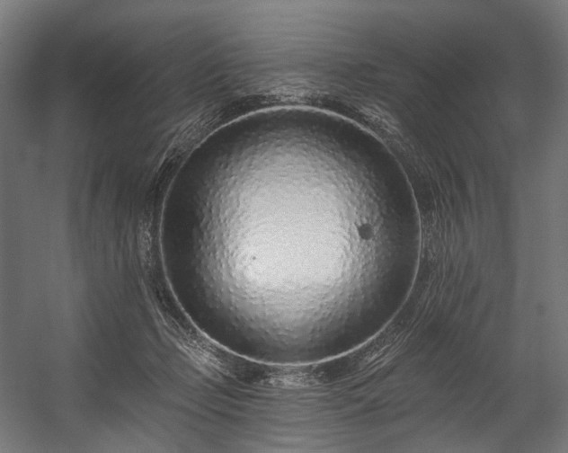 X0000058770365200510031052