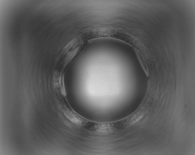 X0000058770384200510031052