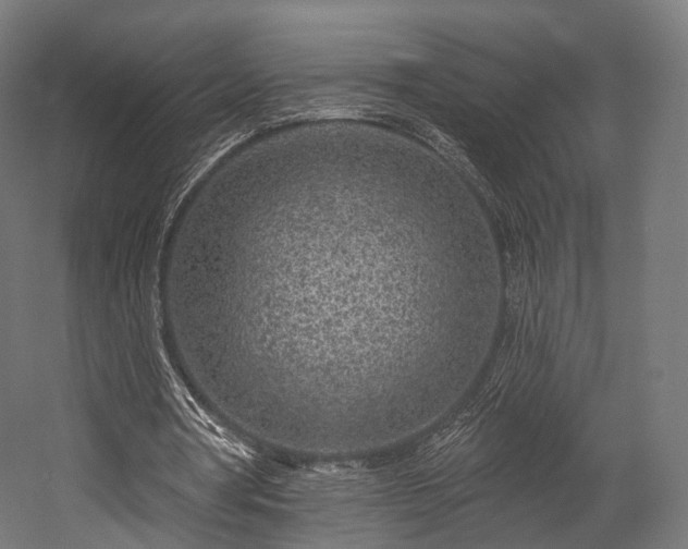 X0000058770386200510031051