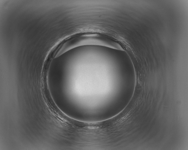 X0000058770388200510031051