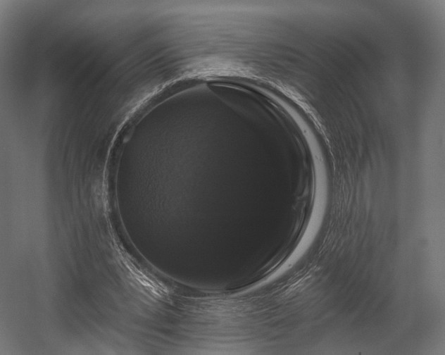 X0000058770391200510031051
