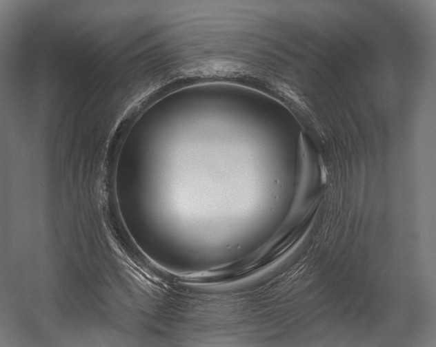 X0000058770392200510031051