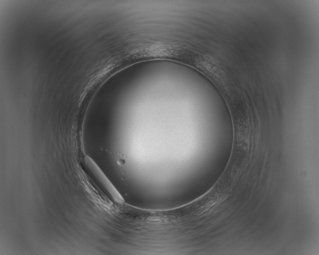 X0000058770394200510031051