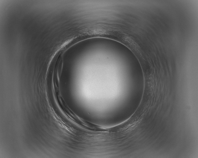 X0000058770395200510031051