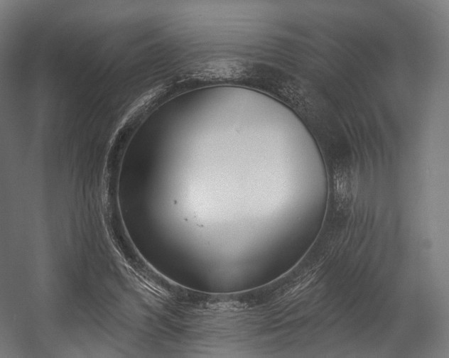 X0000058770396200510031051