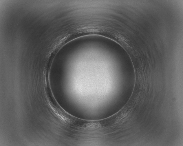 X0000058770398200510031051