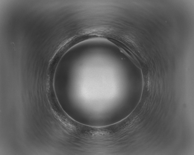 X0000058770400200510031051