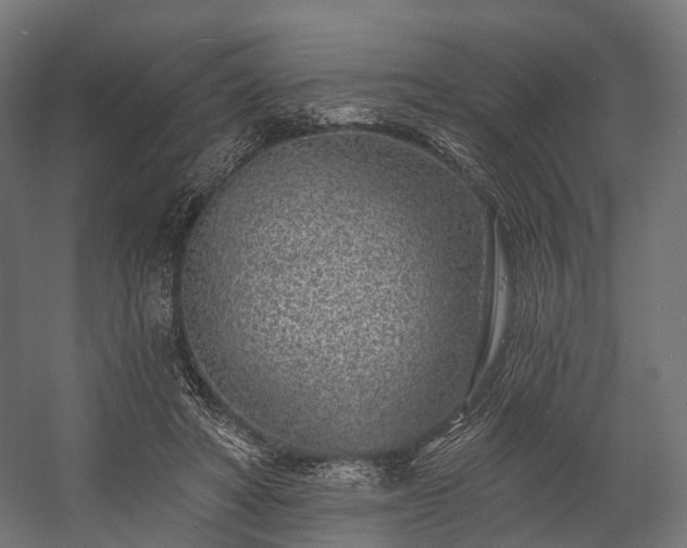 X0000058770402200510031051