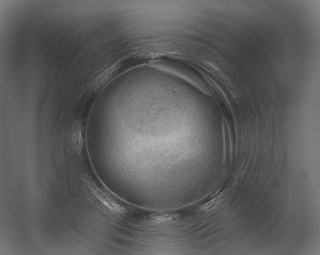 X0000058770405200510031051