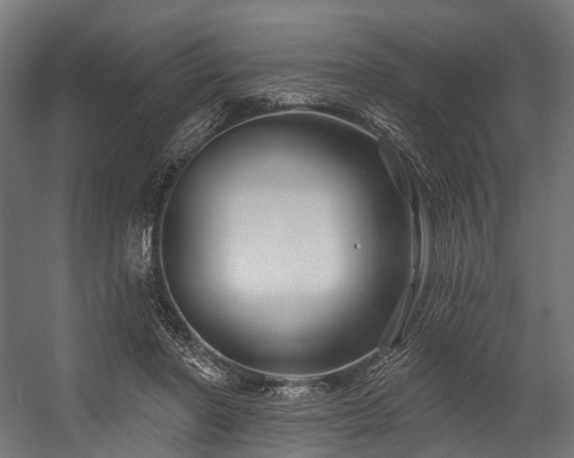 X0000058770406200510031051