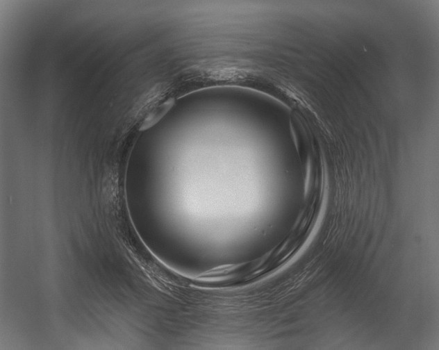 X0000058770407200510031051