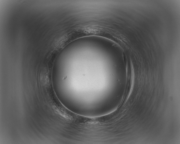 X0000058770408200510031051