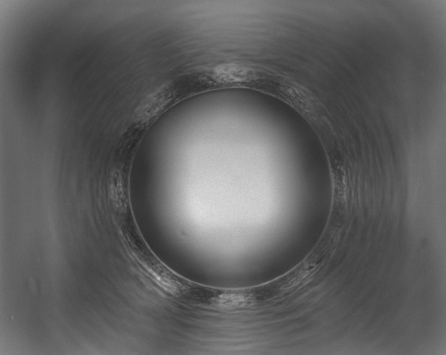 X0000058770418200510031051