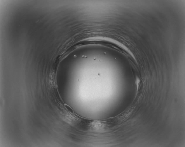 X0000058770425200510031051