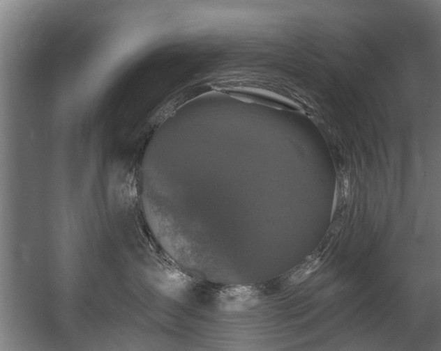 X0000058770431200510031050