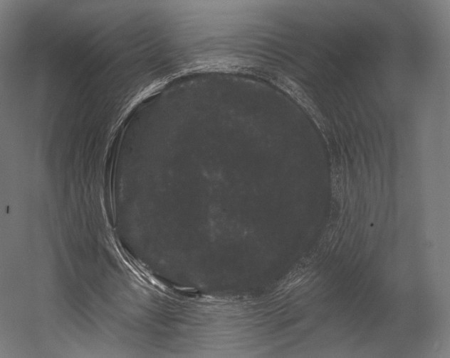 X0000058770434200510031050