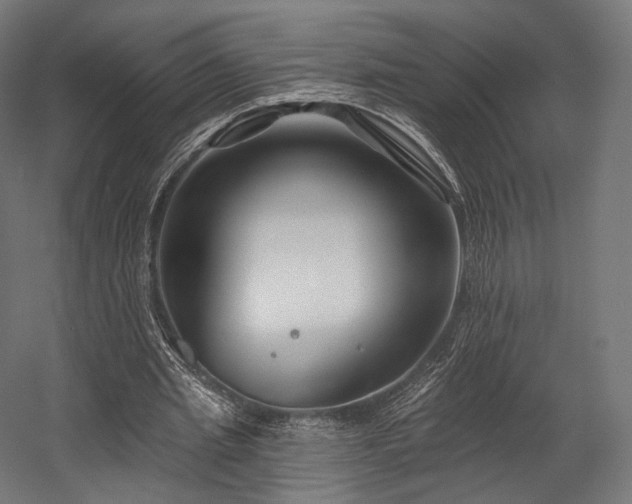 X0000058770437200510031050