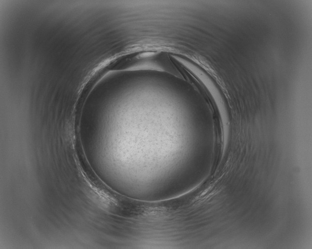 X0000058770438200510031050