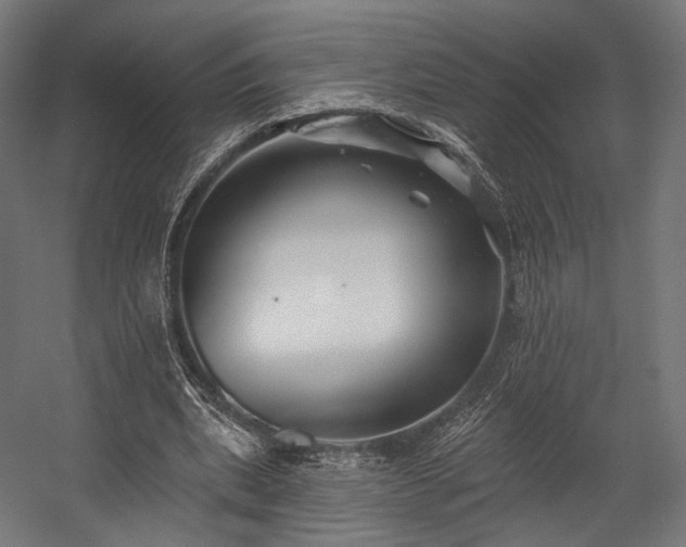 X0000058770439200510031050