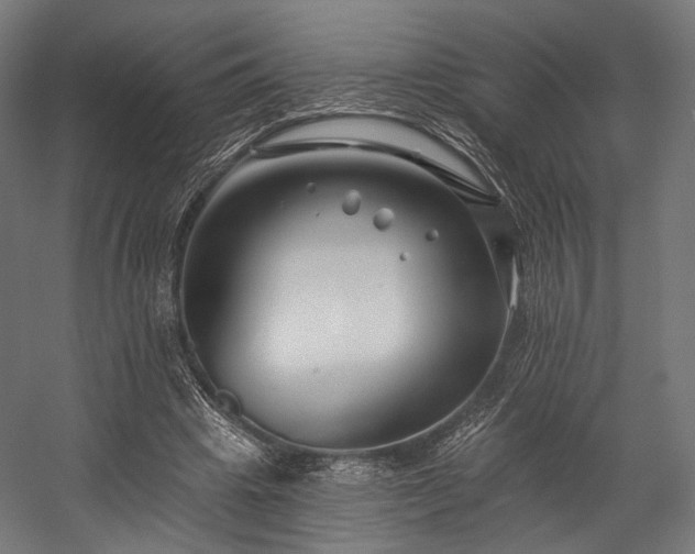 X0000058770441200510031050