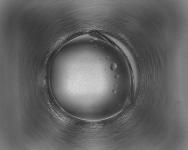 X0000058770443200510031050