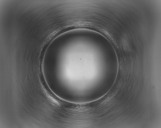 X0000058770445200510031050