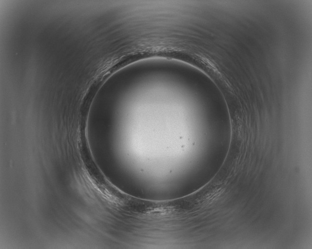 X0000058770447200510031050