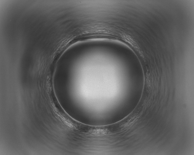 X0000058770449200510031050