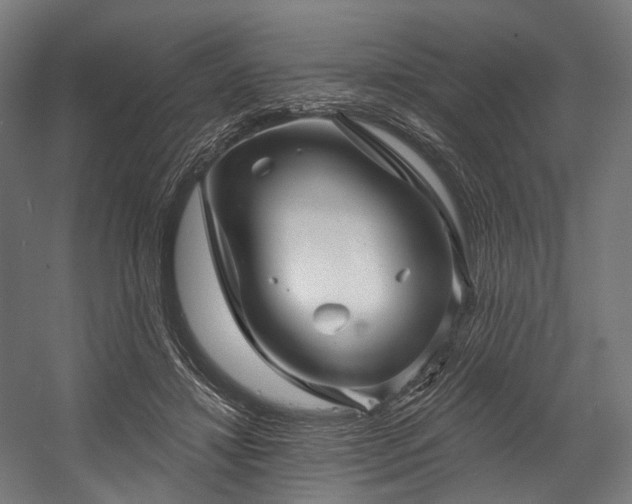 X0000058770452200510031050