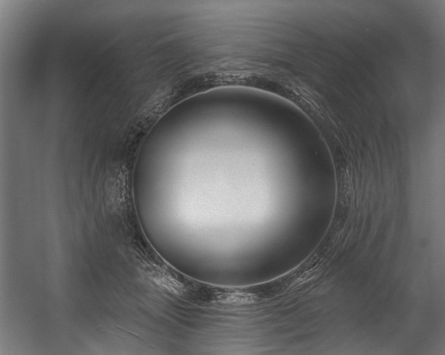 X0000058770463200510031050