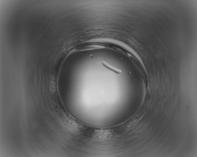 X0000058770469200510031050