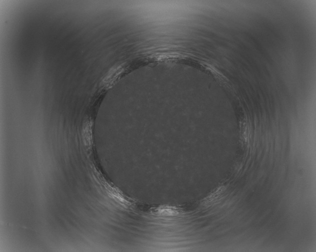 X0000058770475200510031050